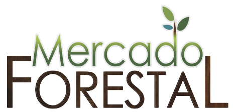 Mercado Forestal Costa Rica