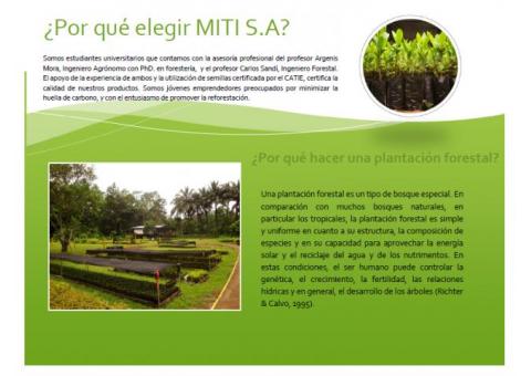 Empresa Forestal MITI S.A.